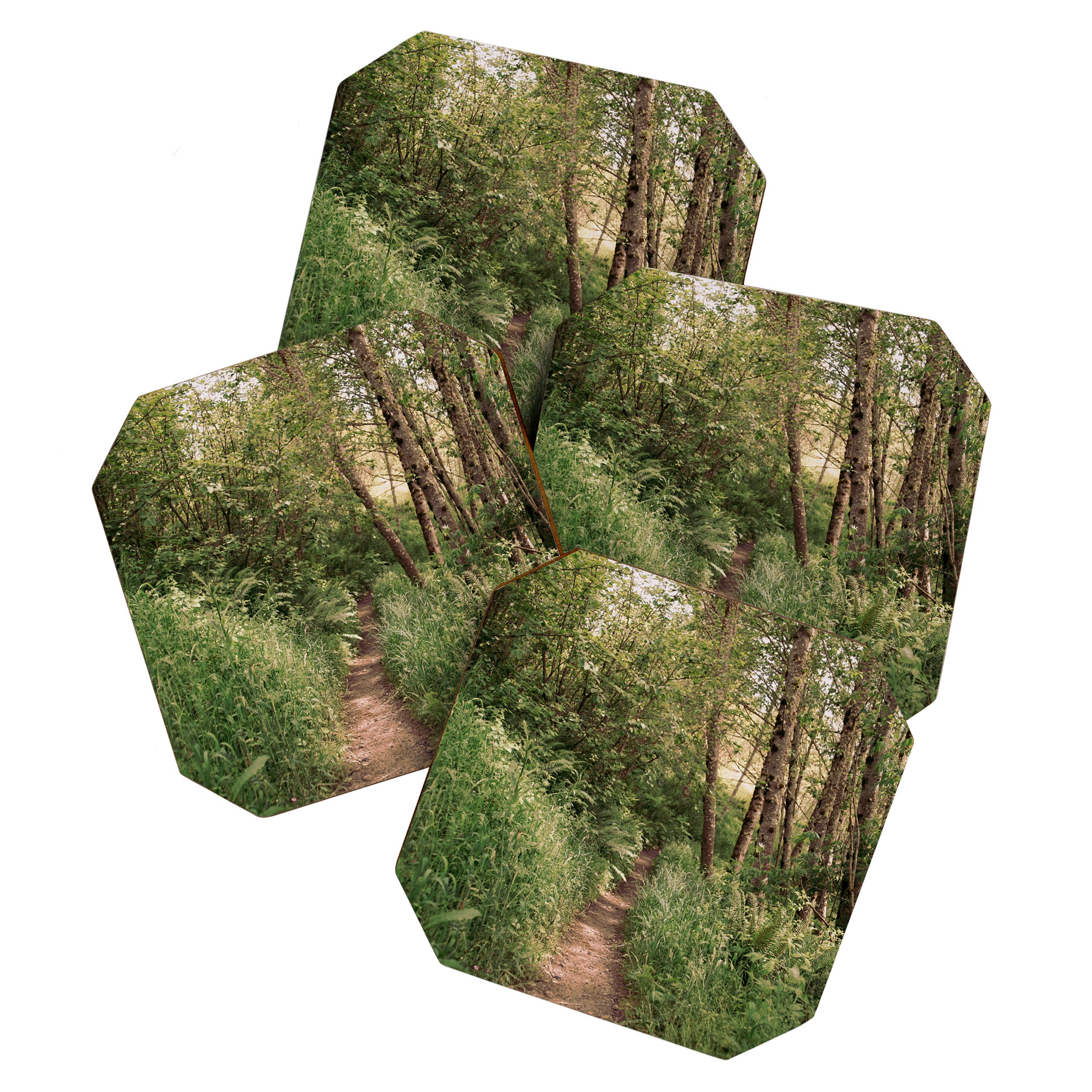 Mellow Path Coaster Gallery Image 1