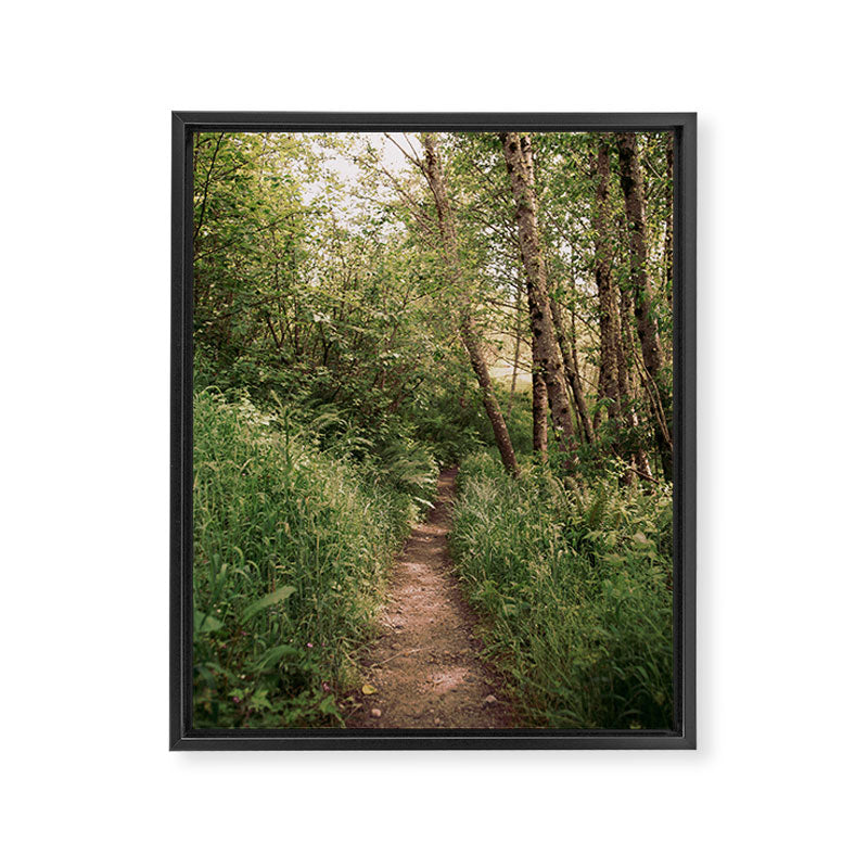 Mellow Path Framed Canvas Print Gallery Image 6