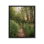 Mellow Path Framed Canvas Print Gallery Image 6