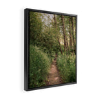 Mellow Path Framed Canvas Print Gallery Image 2