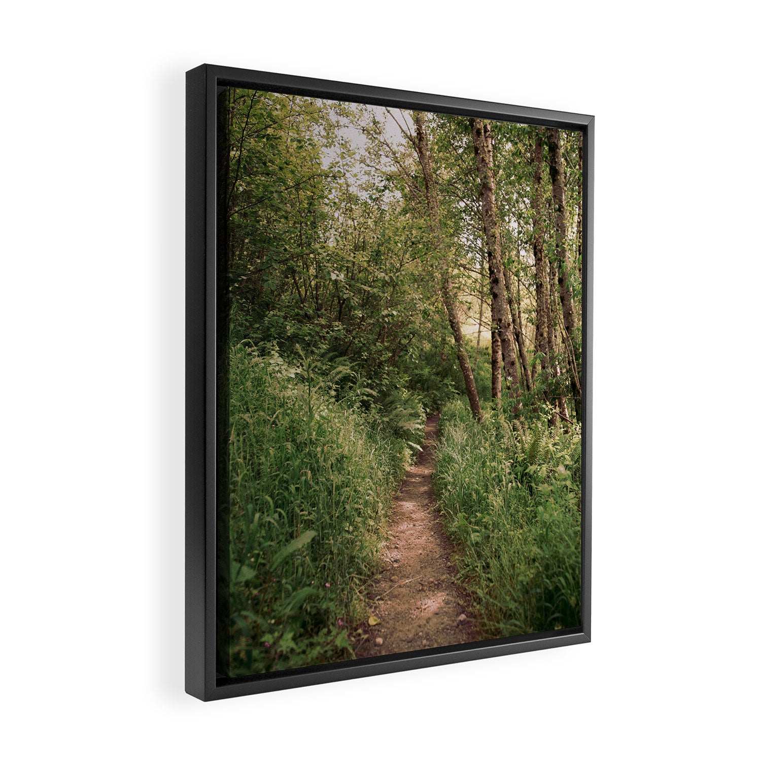Mellow Path Framed Canvas Print Gallery Image 2