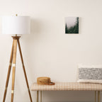 Moody Forest Canvas Print Gallery Image 2