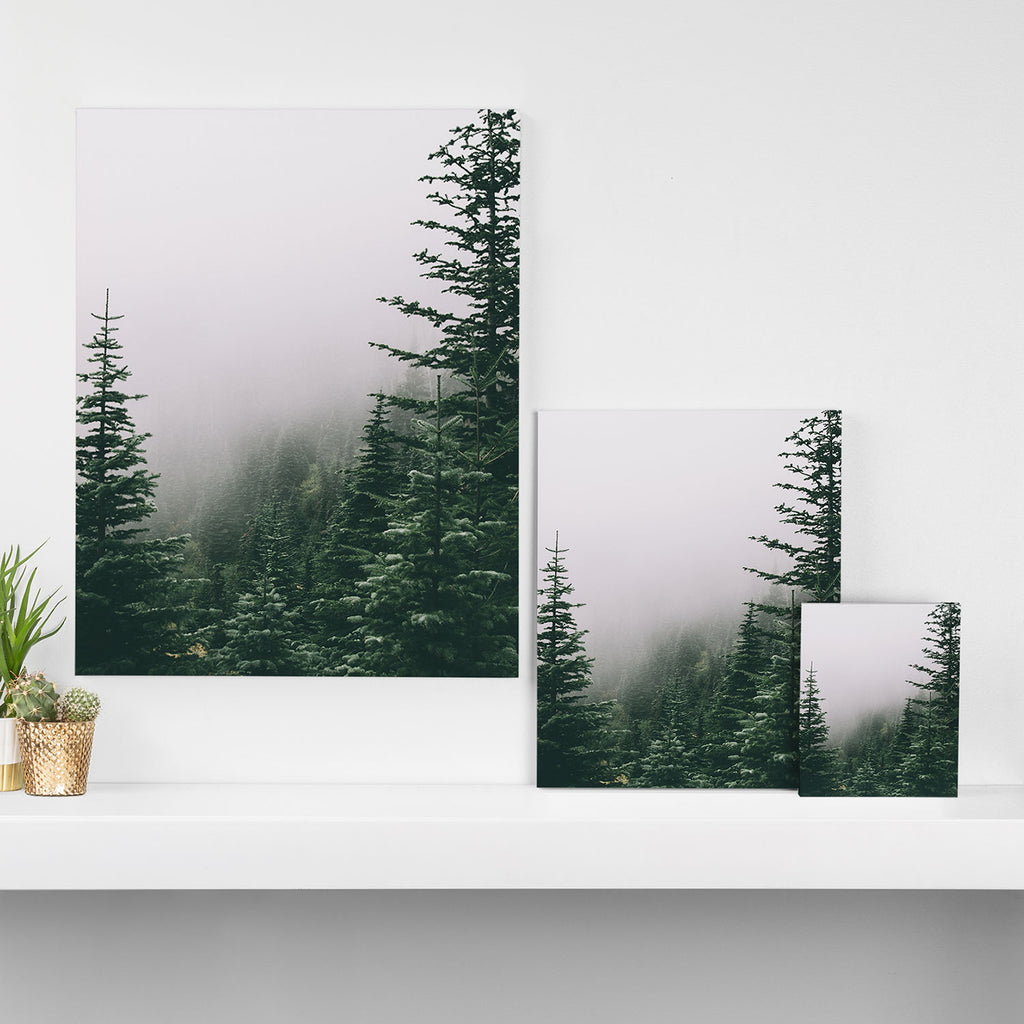 Moody Forest Canvas Print Gallery Image 3