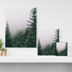 Moody Forest Canvas Print Gallery Image 3