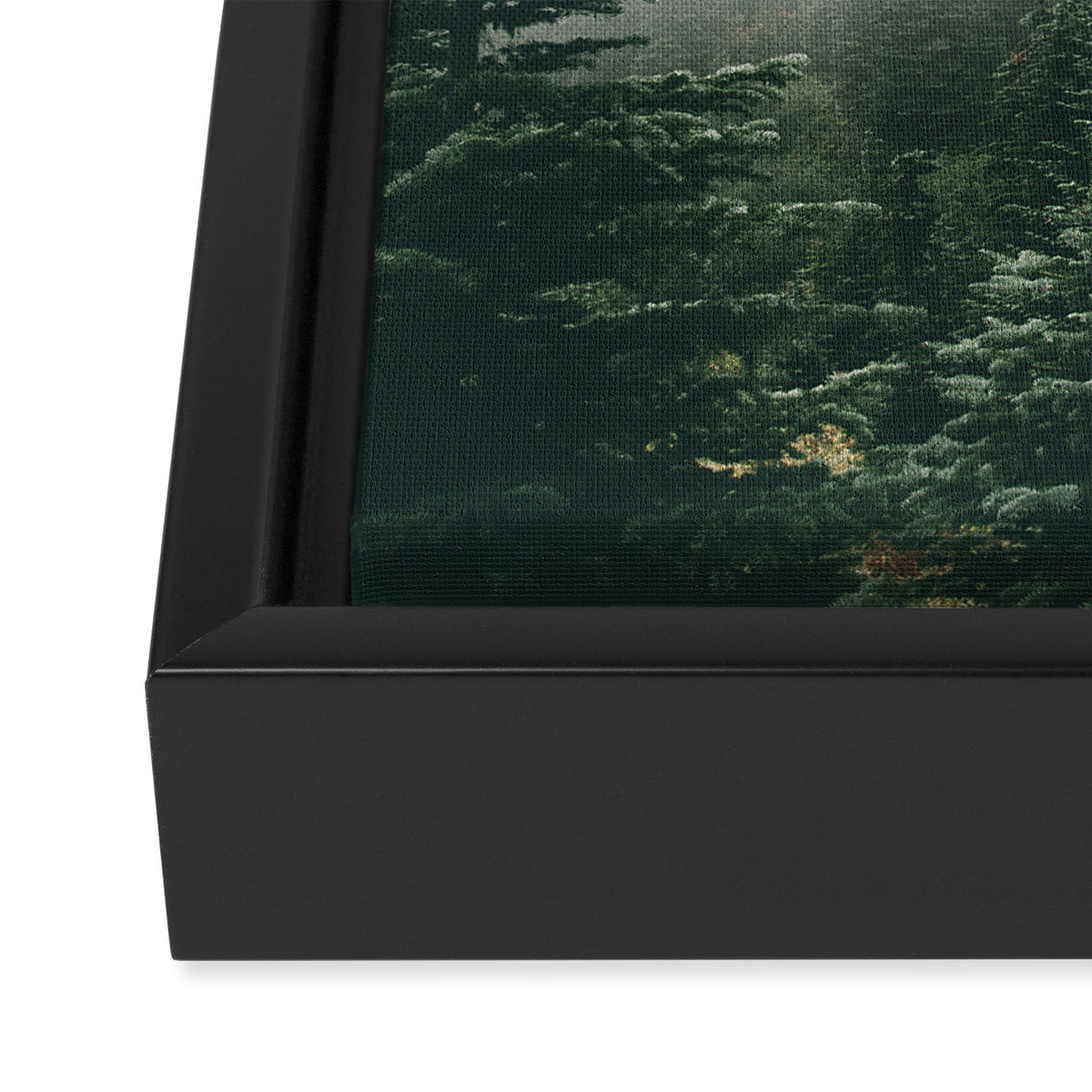 Moody Forest Framed Canvas Print Gallery Image 3