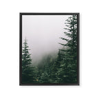 Moody Forest Framed Canvas Print Gallery Image 6
