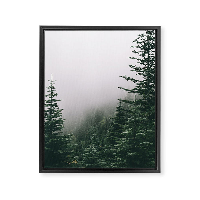 Moody Forest Framed Canvas Print Gallery Image 1