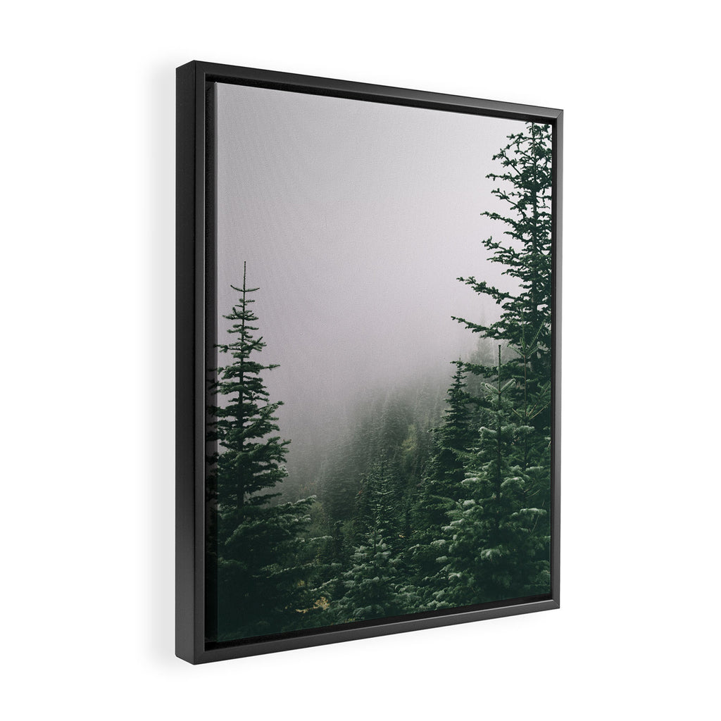 Moody Forest Framed Canvas Print Gallery Image 2