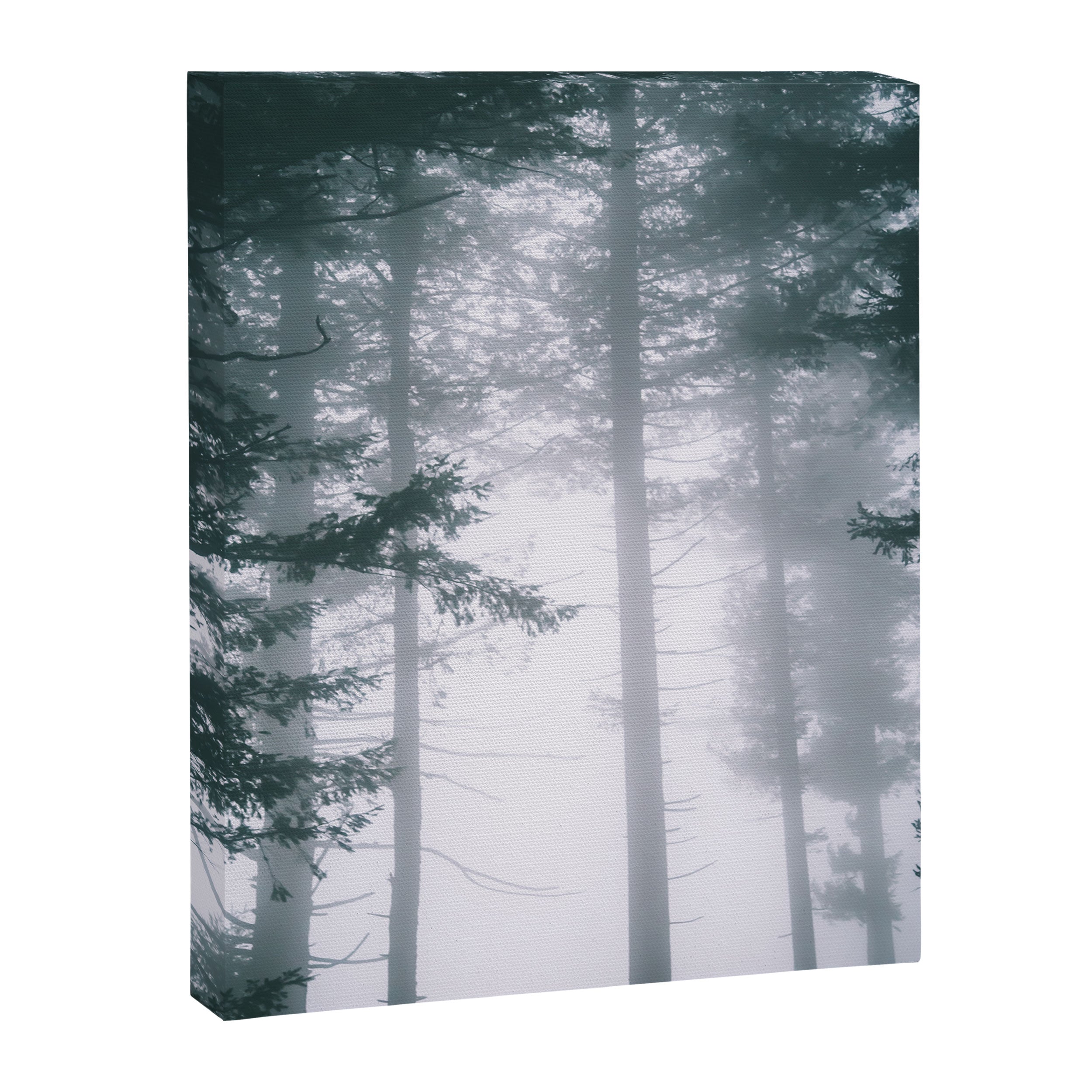 Moody Forest II Canvas Print Gallery Image 6