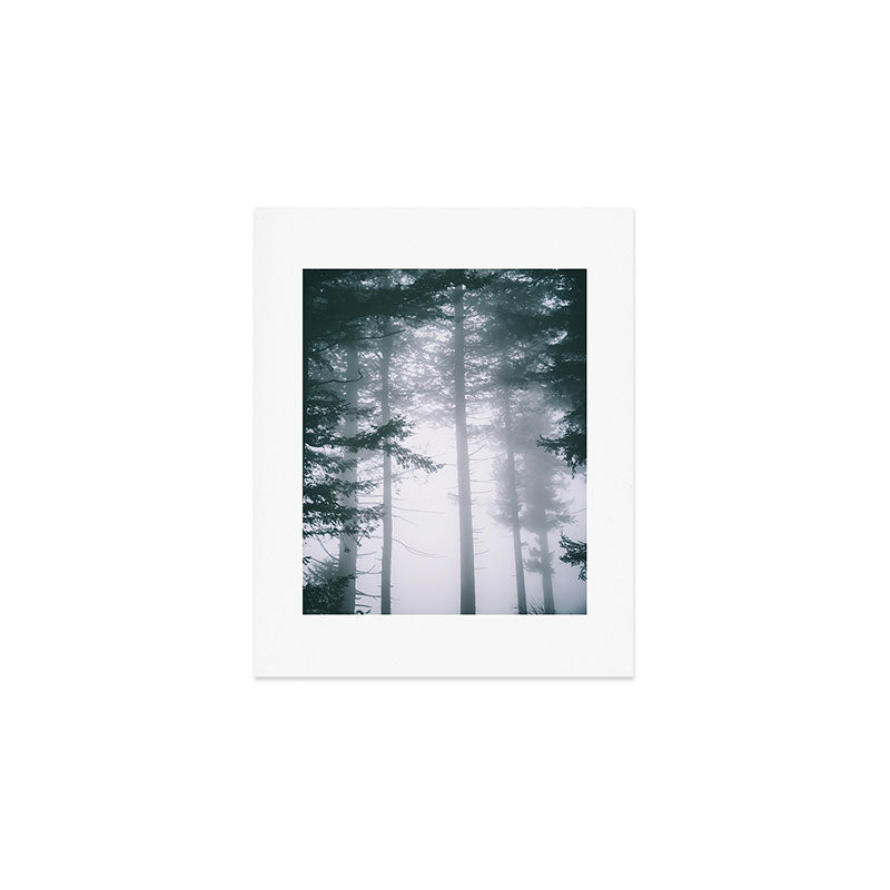 Moody Forest II Art Print Gallery Image 1