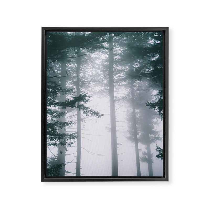 Moody Forest II Framed Canvas Print Gallery Image 6
