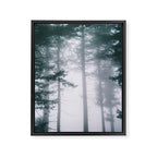 Moody Forest II Framed Canvas Print Gallery Image 6