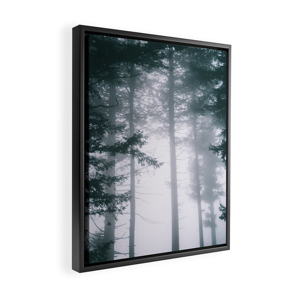 Moody Forest II Framed Canvas Print Gallery Image 2