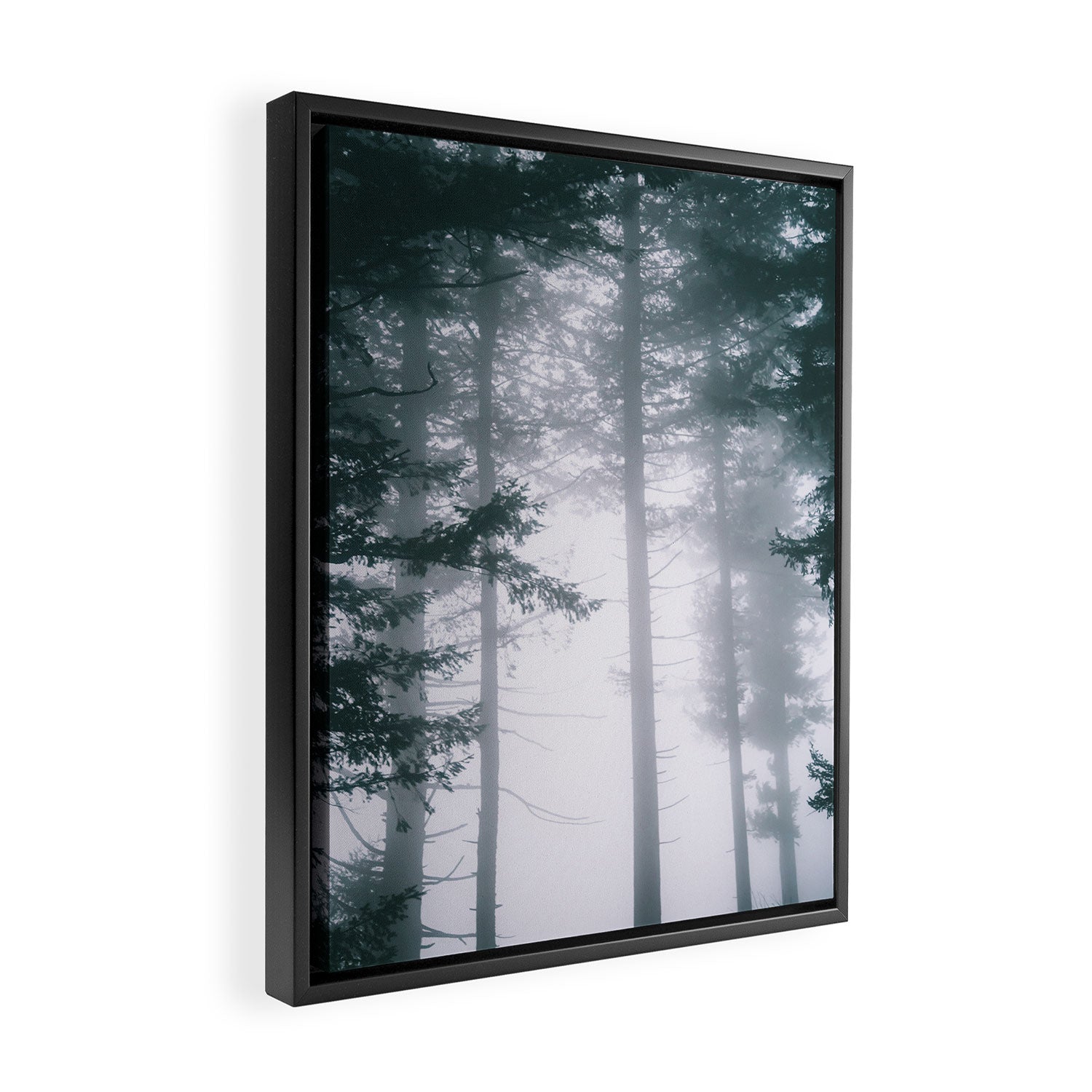 Moody Forest II Framed Canvas Print Gallery Image 2