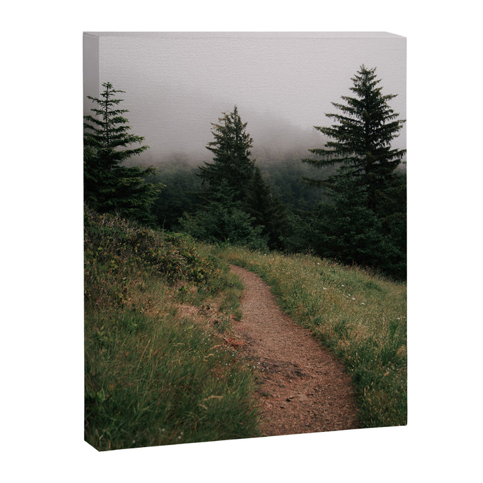 Moody Forest Path Canvas Print Gallery Image 1