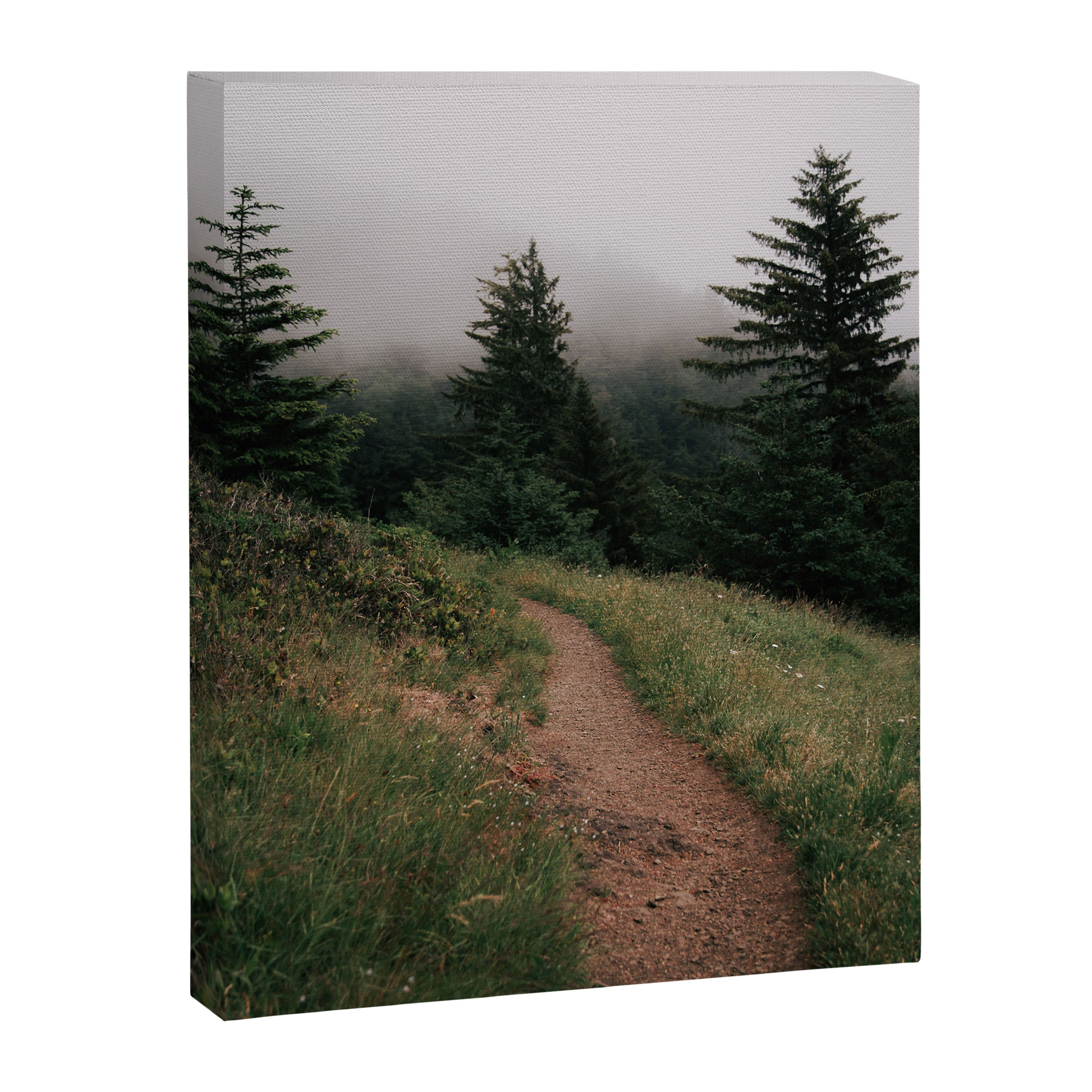 Moody Forest Path Canvas Print Gallery Image 6