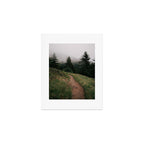 Moody Forest Path Art Print Gallery Image 1