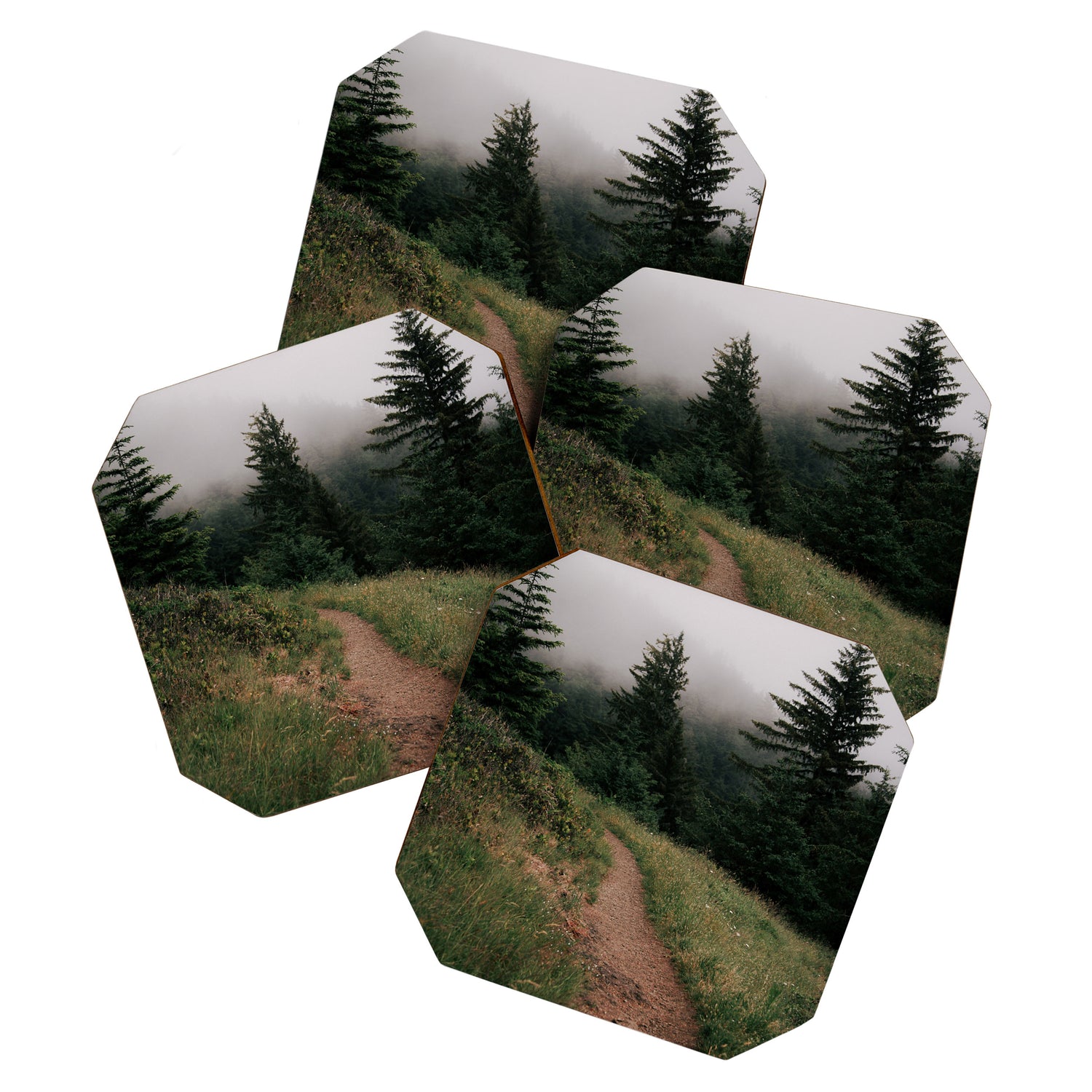 Moody Forest Path Coaster Gallery Image 1
