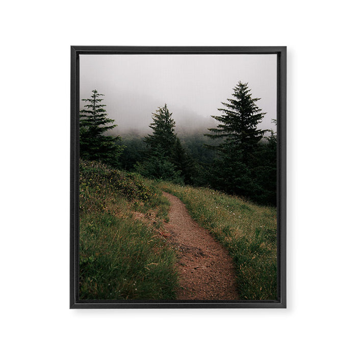Moody Forest Path Framed Canvas Print Gallery Image 1
