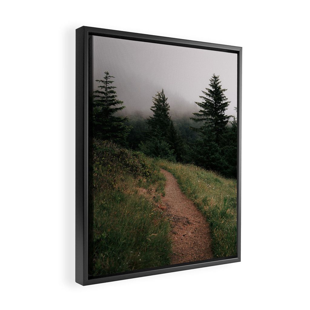 Moody Forest Path Framed Canvas Print Gallery Image 2