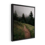 Moody Forest Path Framed Canvas Print Gallery Image 2