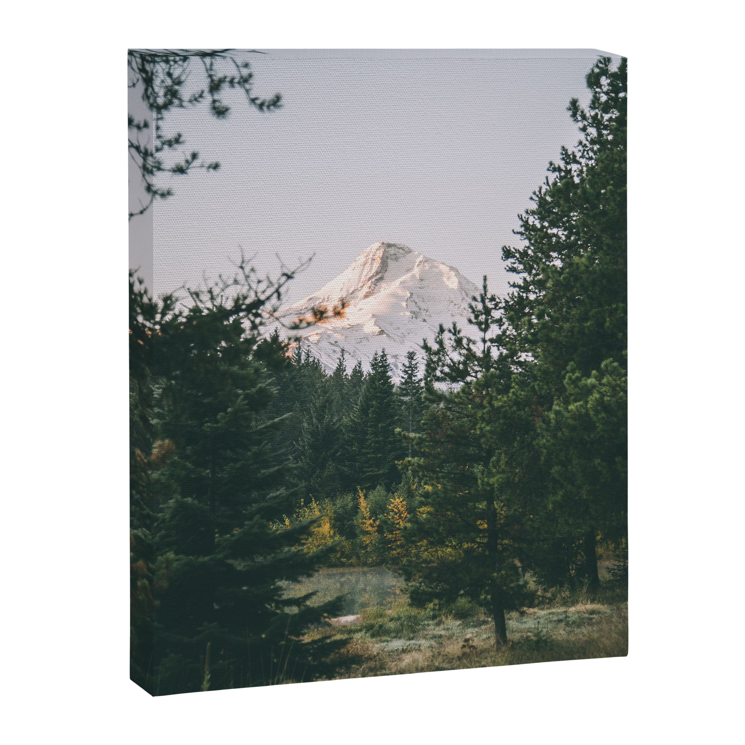 Mount Hood VI Canvas Print Gallery Image 6