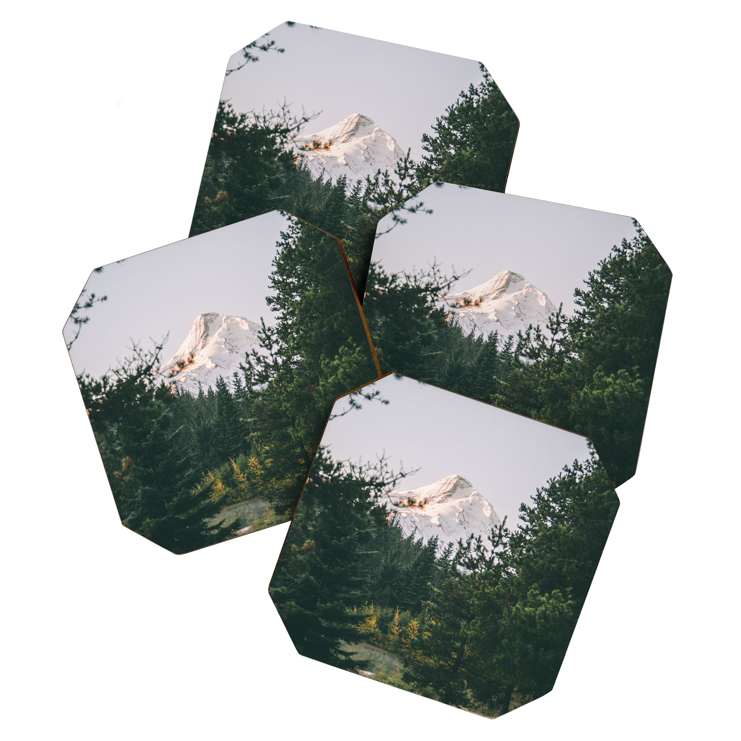 Mount Hood VI Coaster Gallery Image 1