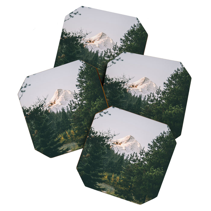Mount Hood VI Coaster Gallery Image 1