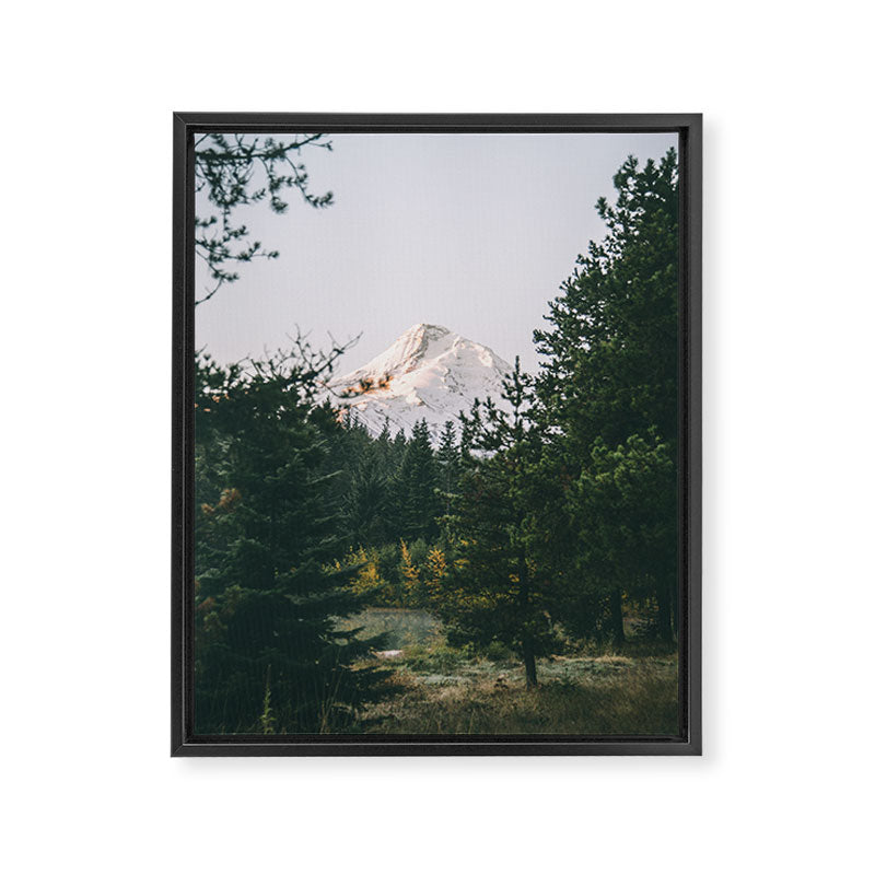Mount Hood VI Framed Canvas Print Gallery Image 6
