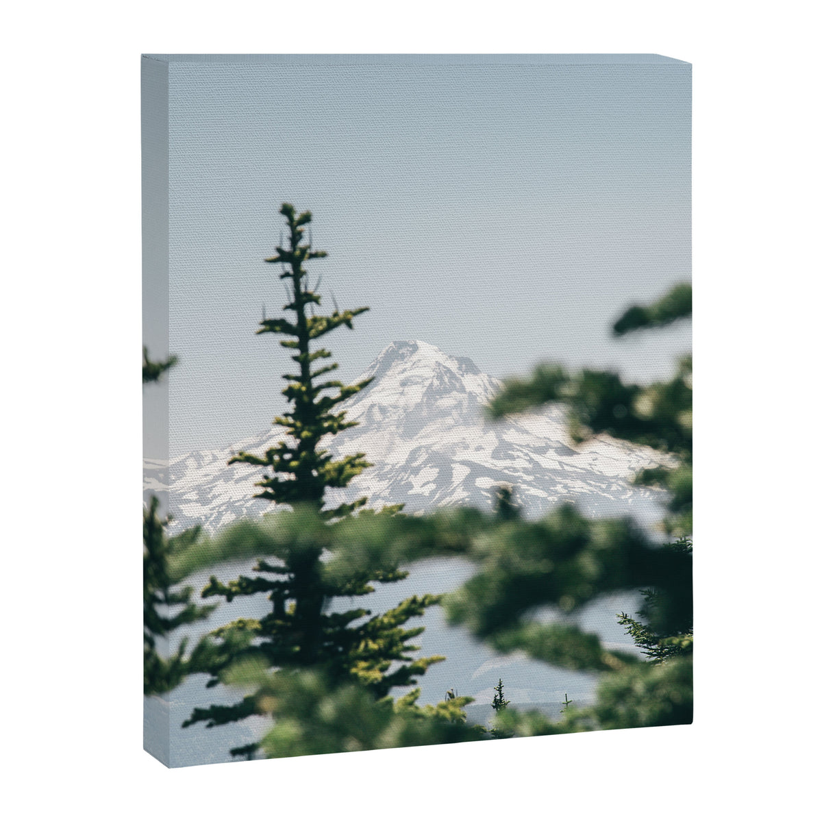 Mount Hood VII Canvas Print Gallery Image 6
