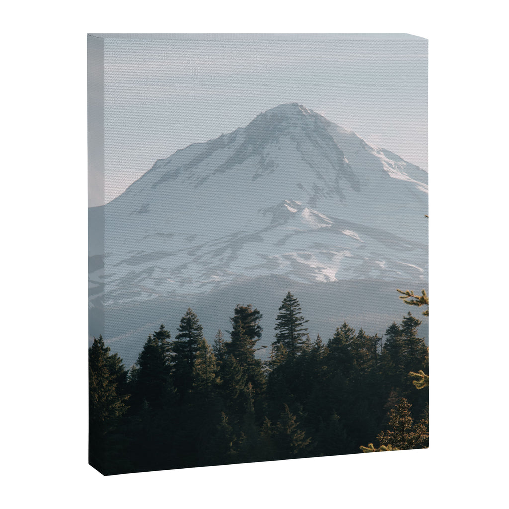 Mount Hood XIV Canvas Print Gallery Image 6