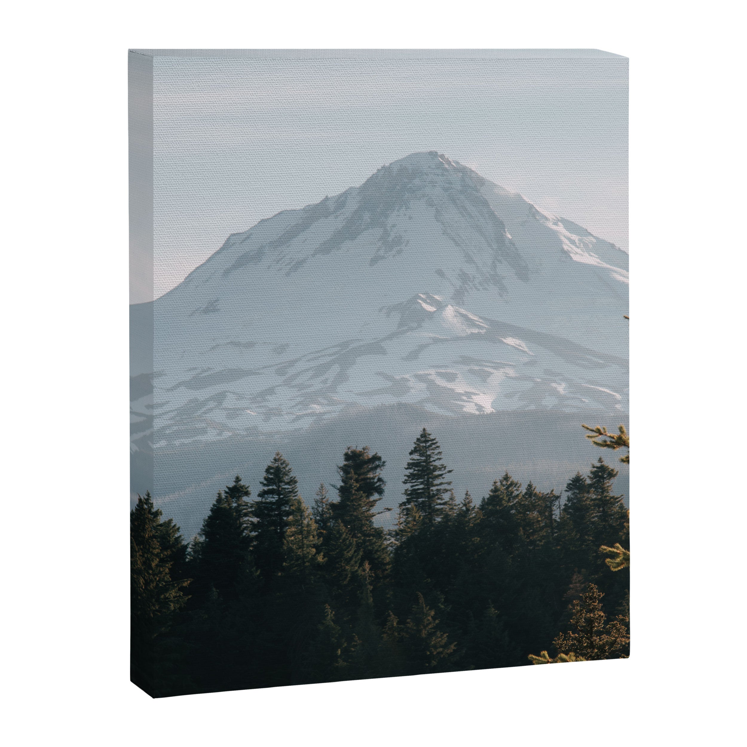 Mount Hood XIV Canvas Print Gallery Image 6