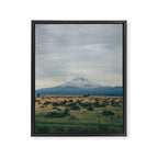 Mount Jefferson Framed Canvas Print Gallery Image 6