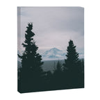 Mount Redoubt Canvas Print Gallery Image 6