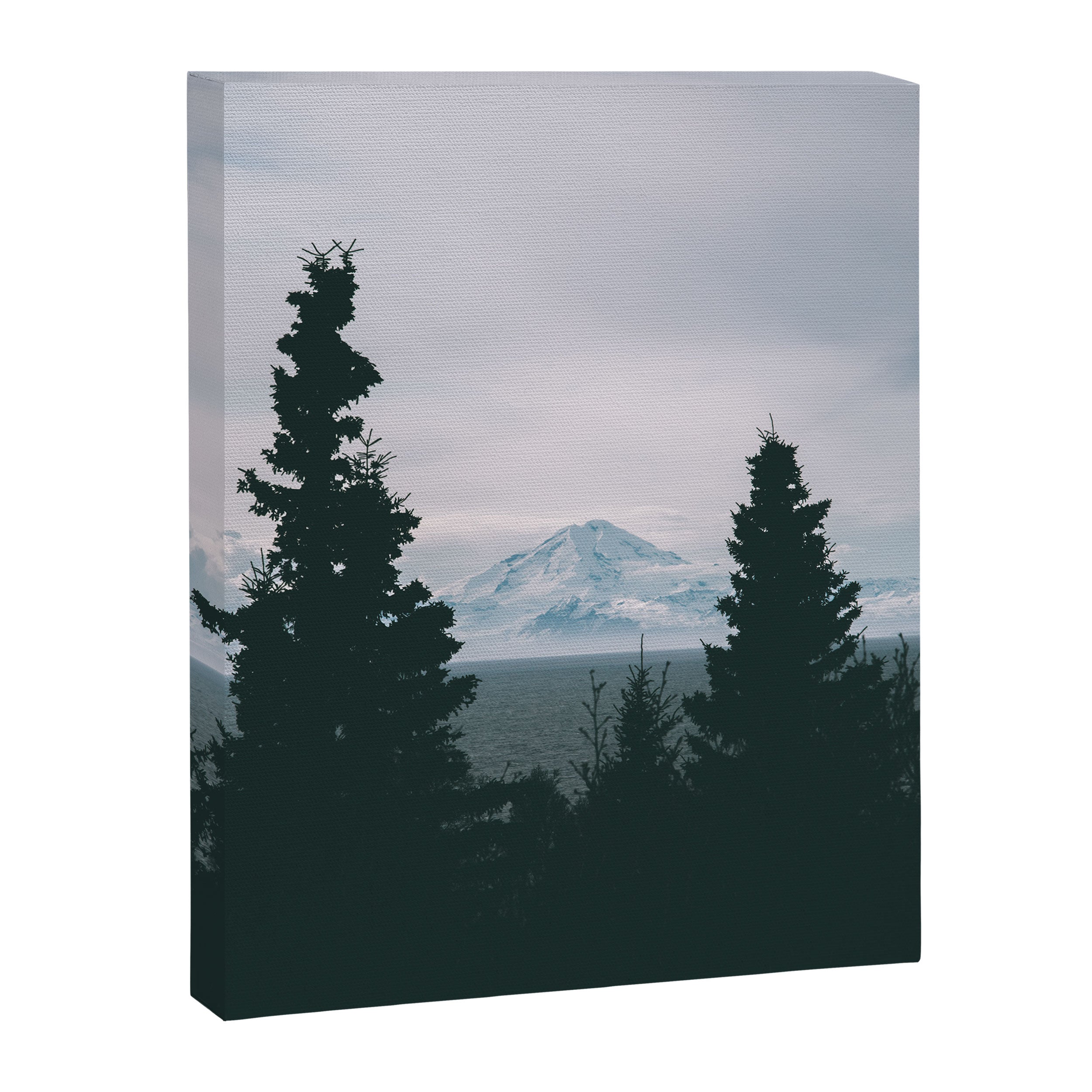 Mount Redoubt Canvas Print Gallery Image 6