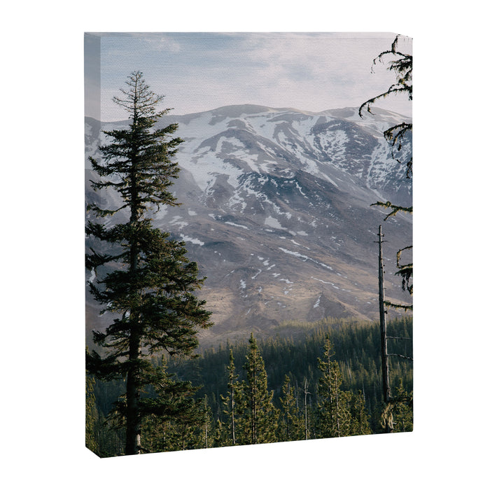 Mount Saint Helens IV Canvas Print Gallery Image 1