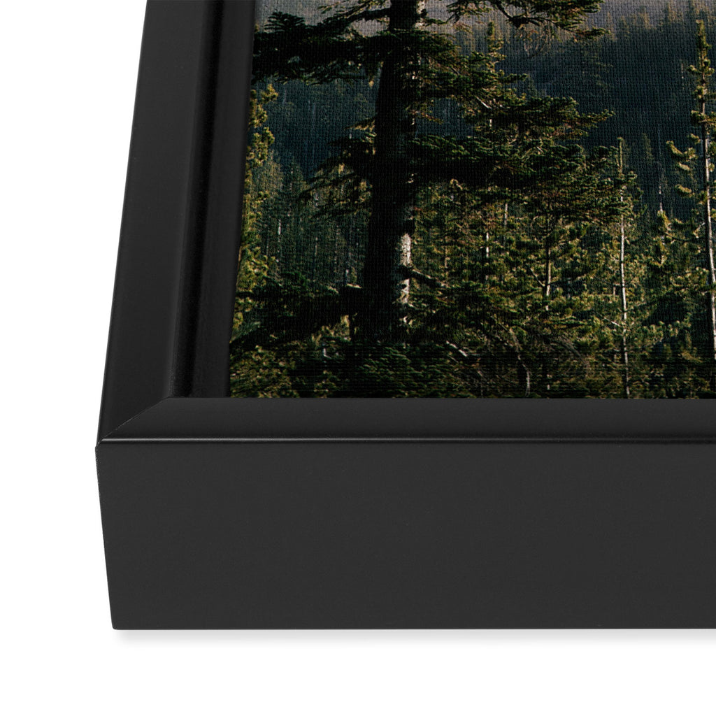 Mount Saint Helens IV Framed Canvas Print Gallery Image 3