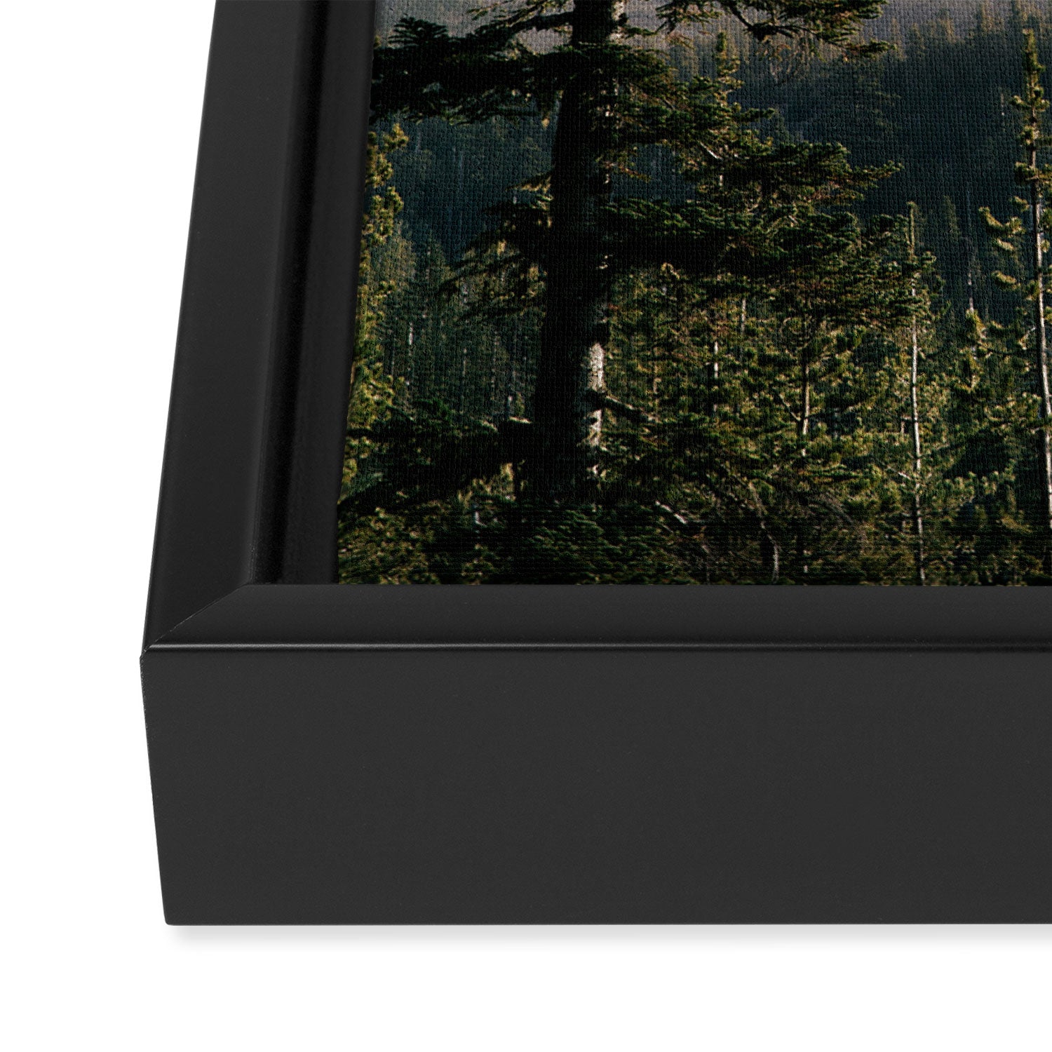 Mount Saint Helens IV Framed Canvas Print Gallery Image 3