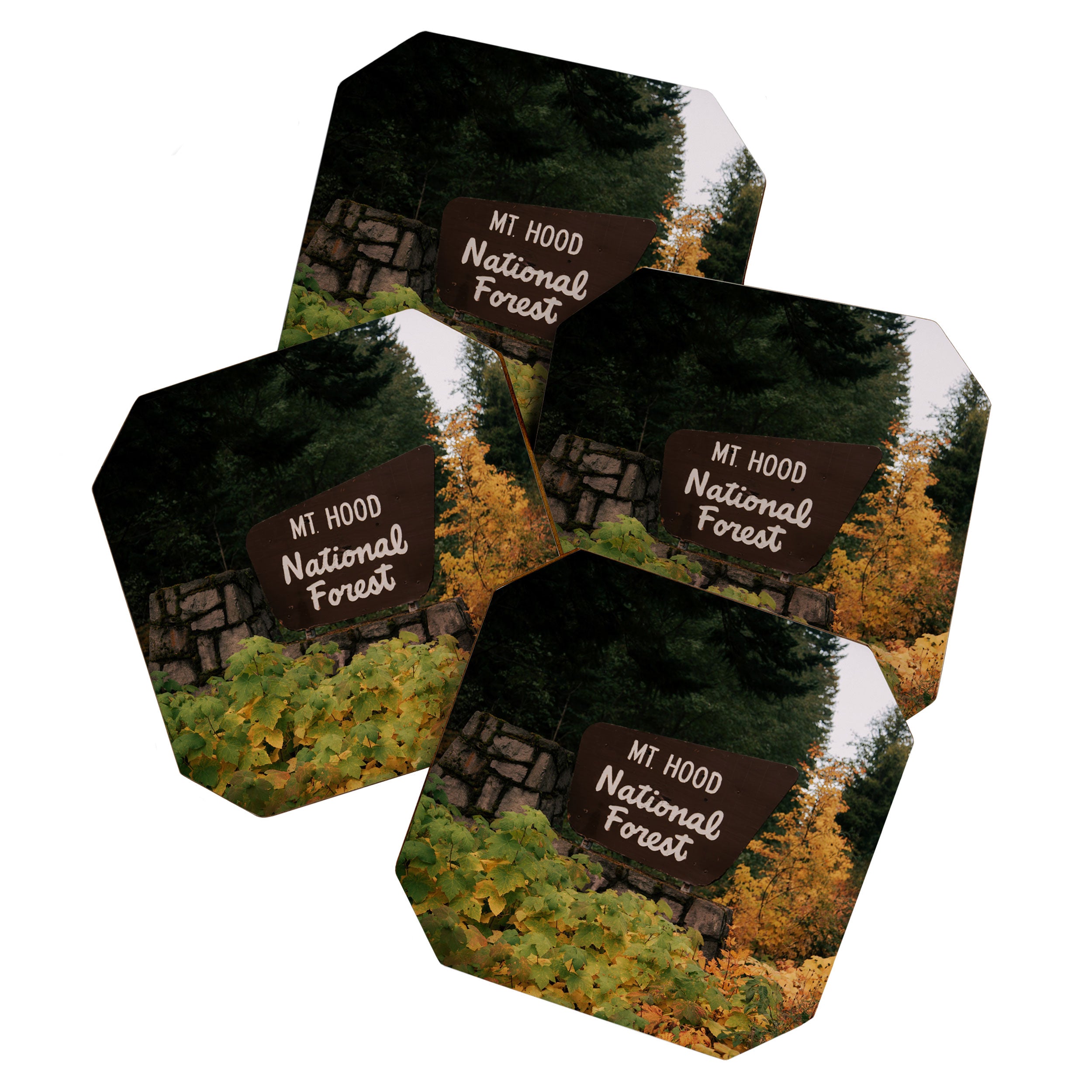 Mt Hood National Forest Sign Coaster Gallery Image 1