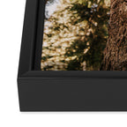Mt Hood Wilderness Sign Framed Canvas Print Gallery Image 3