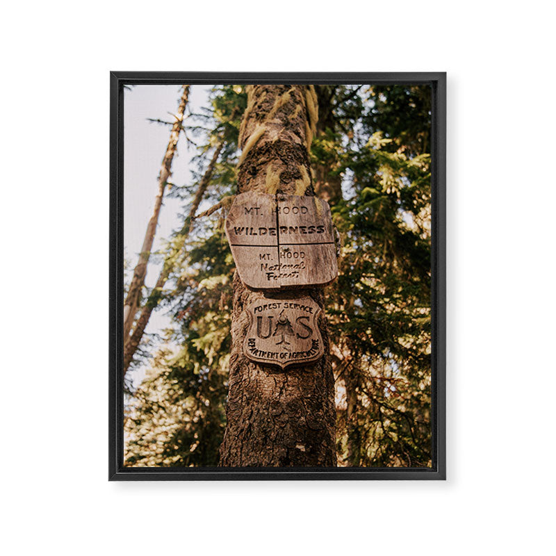 Mt Hood Wilderness Sign Framed Canvas Print Gallery Image 6