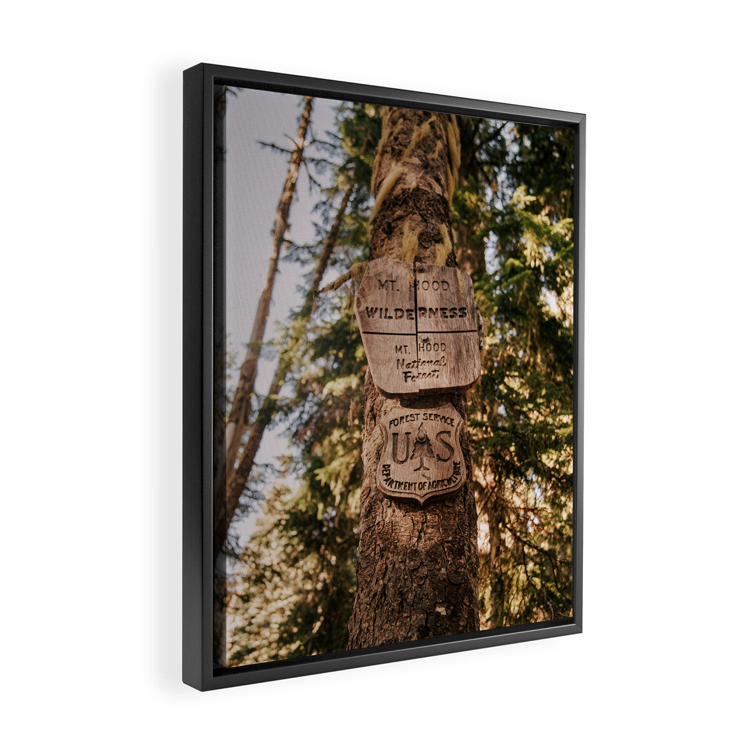 Mt Hood Wilderness Sign Framed Canvas Print Gallery Image 2