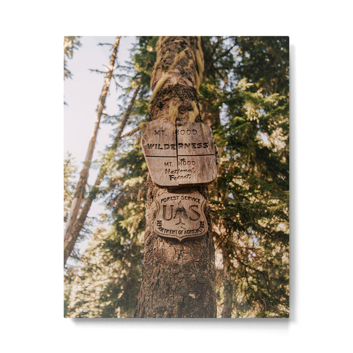 Mt Hood Wilderness Sign Metal Print Gallery Image 1
