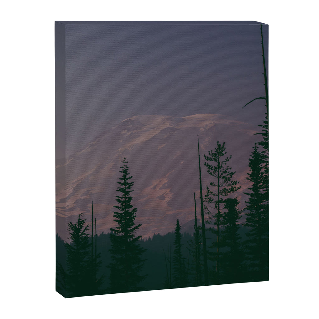 Mt Rainier Dreams Canvas Print Gallery Image 8