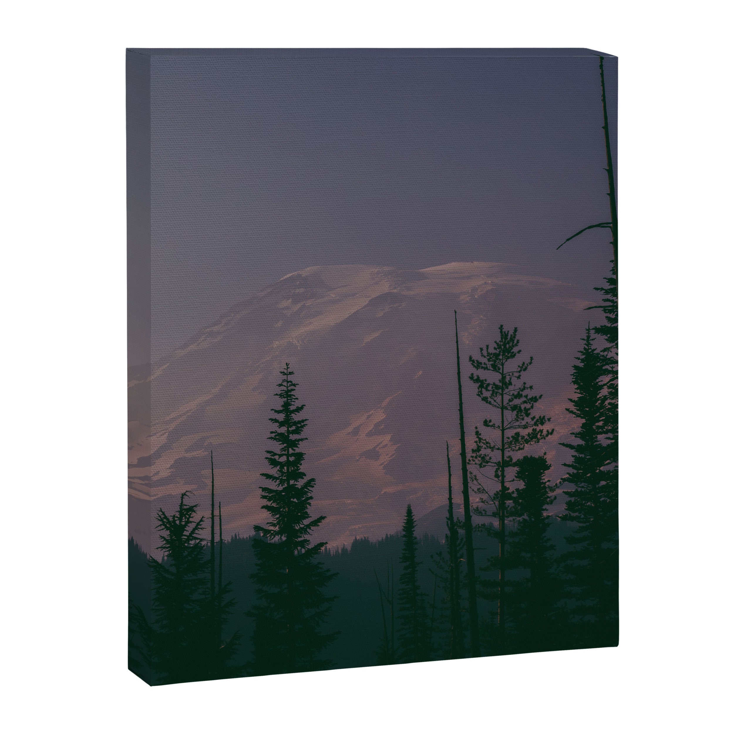 Mt Rainier Dreams Canvas Print Gallery Image 8