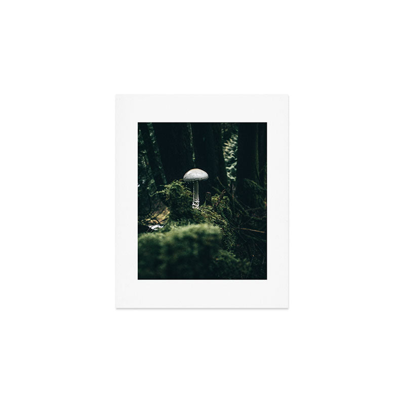 Mushroom Art Print Gallery Image 1