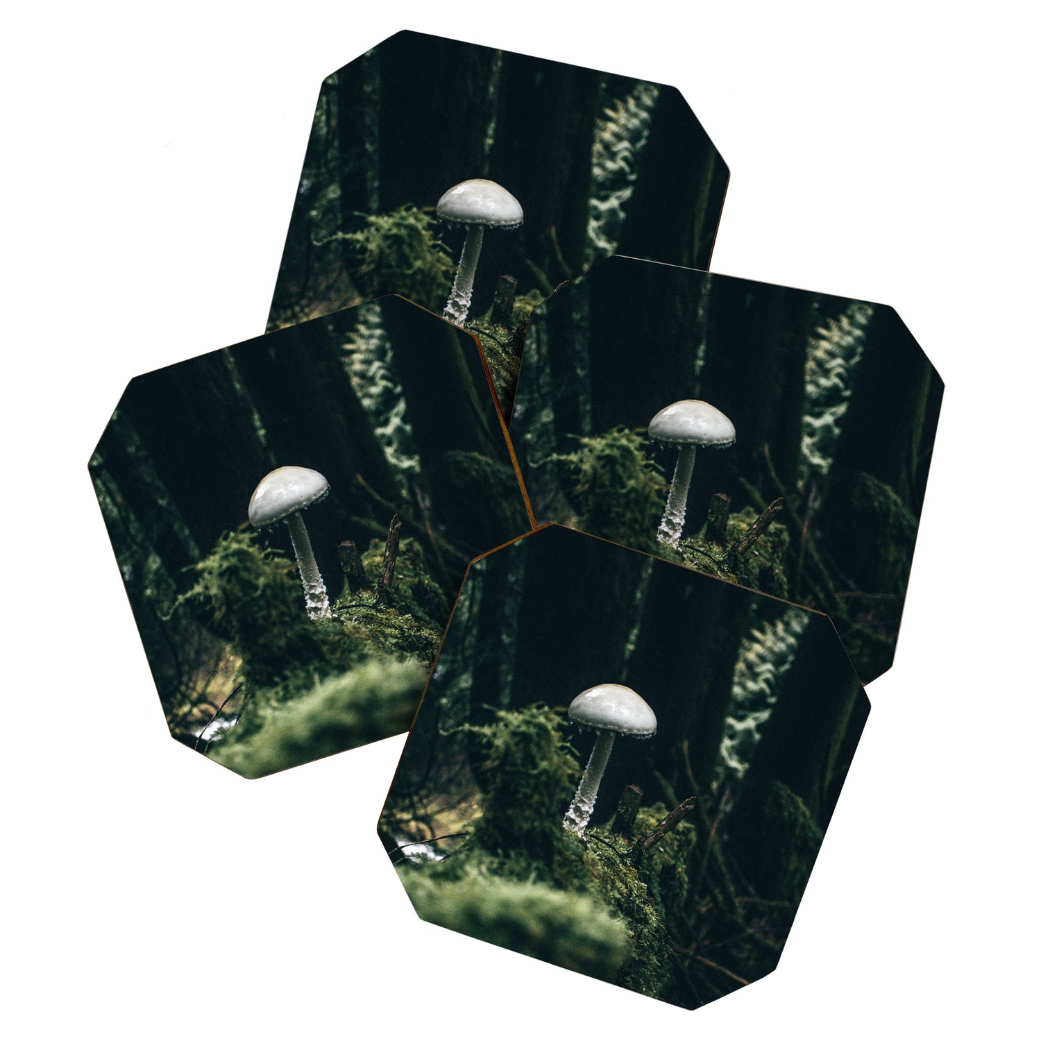 Mushroom Coaster Gallery Image 1