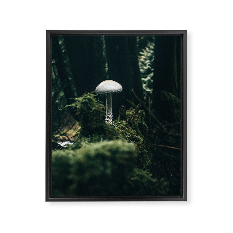 Mushroom Framed Canvas Print Gallery Image 6