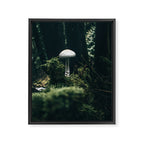Mushroom Framed Canvas Print Gallery Image 6