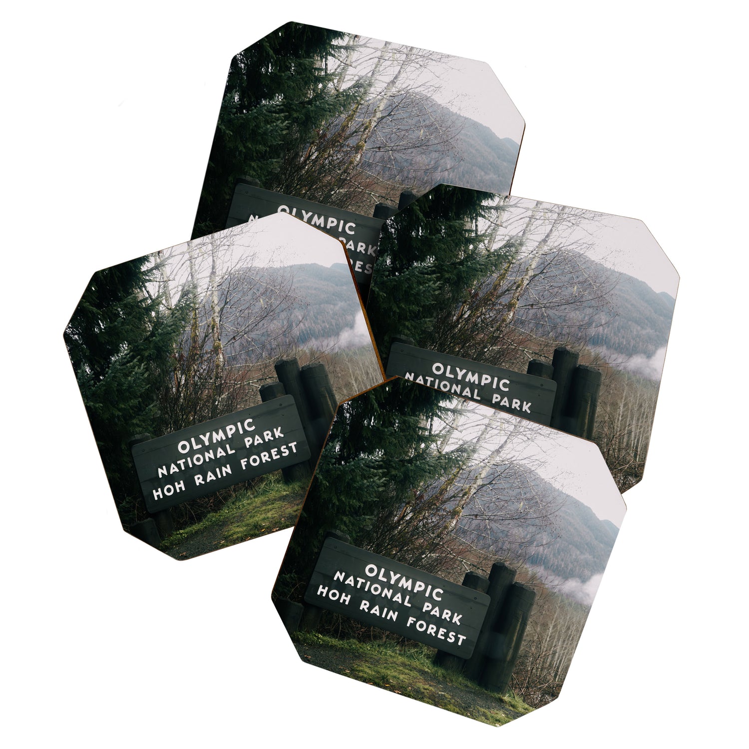 Olympic National Park Hoh Rain Forest Sign Coaster Gallery Image 1